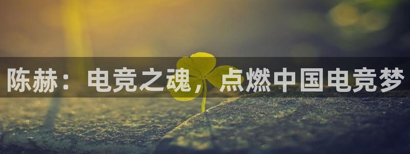 南宫电竞：陈赫：电竞之魂，点燃中国电竞梦
