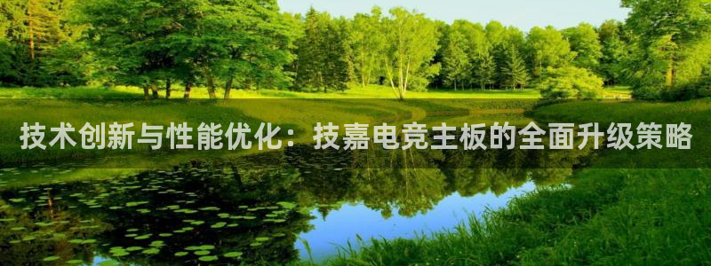 南宫电竞贴吧：技术创新与性能优化：技嘉电竞主板的全面升级策略