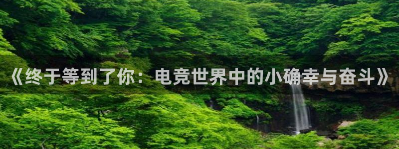 南宫电竞app