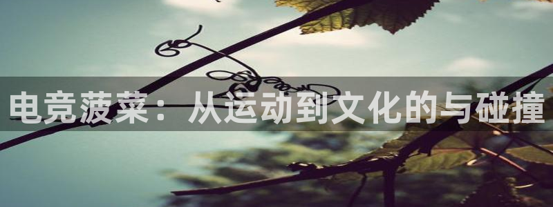 南宫电竞注册