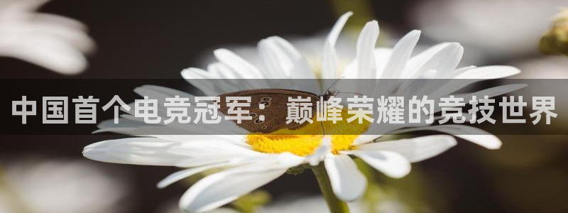南宫电竞网：中国首个电竞冠军：巅峰荣耀的竞技世界