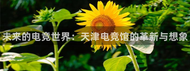 南宫电竞：未来的电竞世界：天津电竞馆的革新与想象