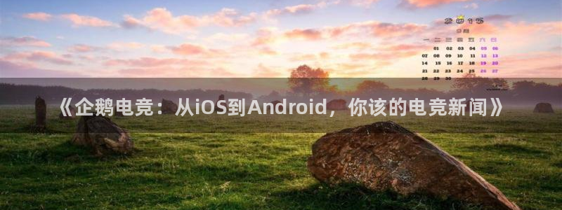 南宫电竞贴吧：《企鹅电竞：从iOS到Android，你该的电竞新闻》