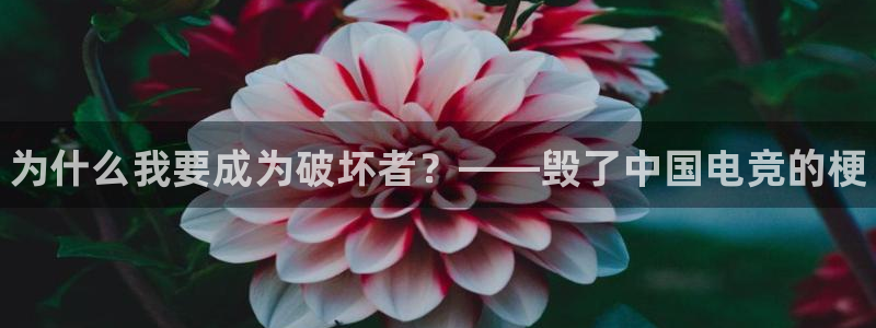 南宫电竞注册：为什么我要成为破坏者？——毁了中国电竞的梗