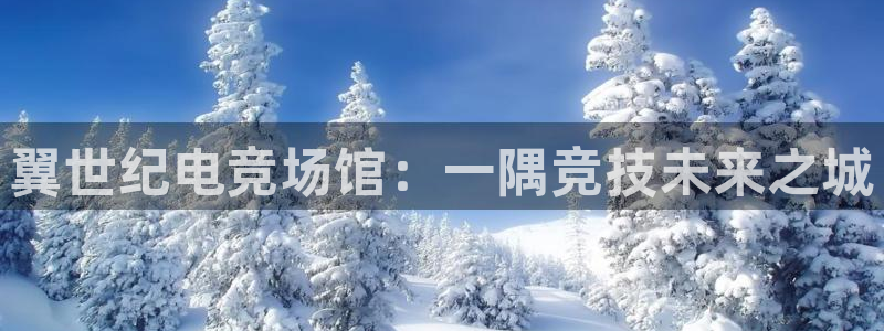 南宫电竞平台：翼世纪电竞场馆：一隅竞技未来之城