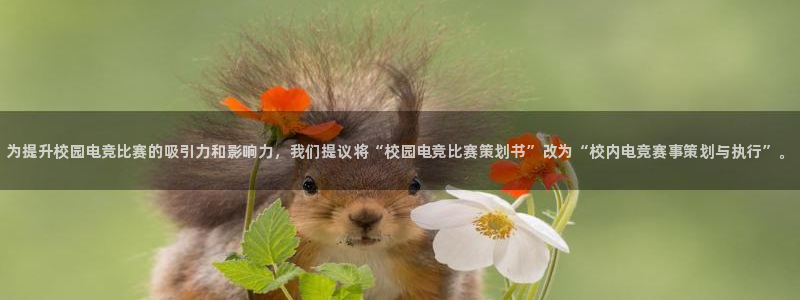 南宫电竞贴吧：为提升校园电竞比赛的吸引力和影响力，我们提议将“校园电竞比赛策划书”改为“校内电竞赛事策划与执行”。