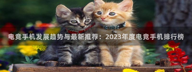 南宫电竞平台：电竞手机发展趋势与最新推荐：2023年度电竞手机排行榜
