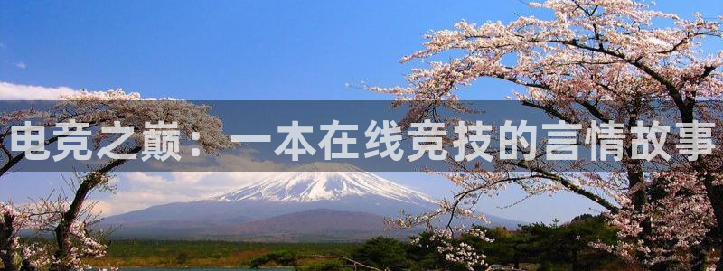 南宫电竞注册：电竞之巅：一本在线竞技的言情故事