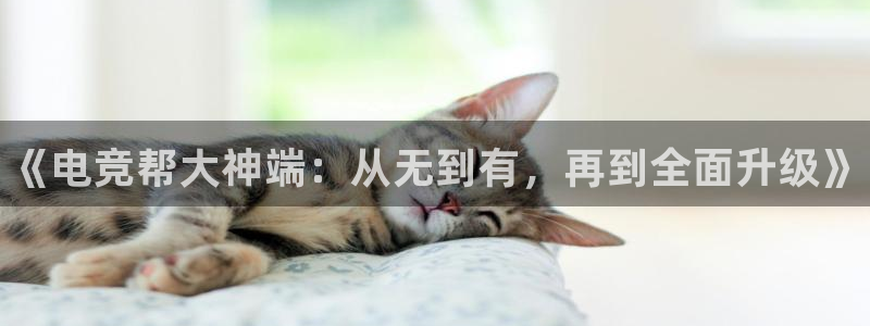 南宫电竞注册：《电竞帮大神端：从无到有，再到全面升级》