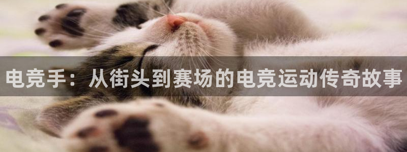 南宫电竞网：电竞手：从街头到赛场的电竞运动传奇故事