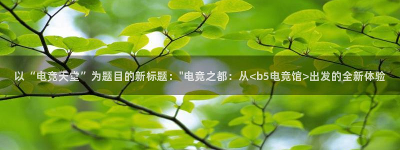 南宫电竞平台：以“电竞天堂”为题目的新标题：\