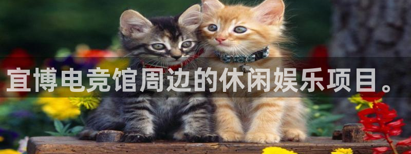 南宫电竞官网：宜博电竞馆周边的休闲娱乐项目。