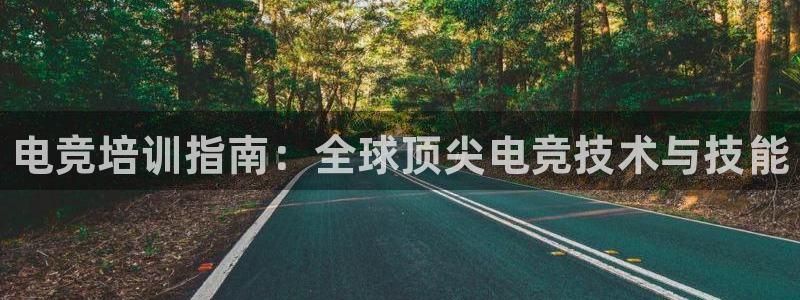 南宫电竞贴吧：电竞培训指南：全球顶尖电竞技术与技能