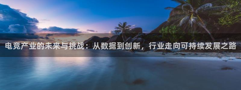 南宫电竞官网：电竞产业的未来与挑战：从数据到创新，行业走向可持续发展之路