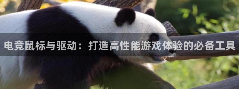南宫电竞注册：电竞鼠标与驱动：打造高性能游戏体验的必备工具