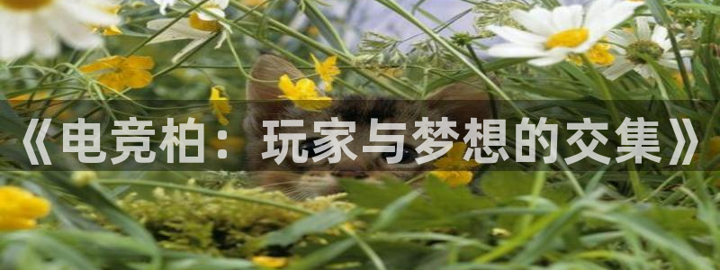 南宫电竞贴吧：《电竞柏：玩家与梦想的交集》