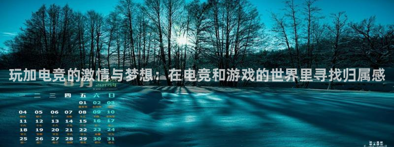 南宫电竞网：玩加电竞的激情与梦想：在电竞和游戏的世界里寻找归属感