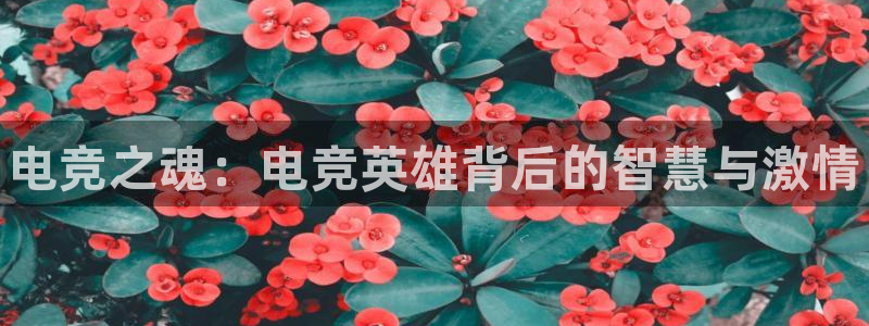 南宫电竞官网：电竞之魂：电竞英雄背后的智慧与激情