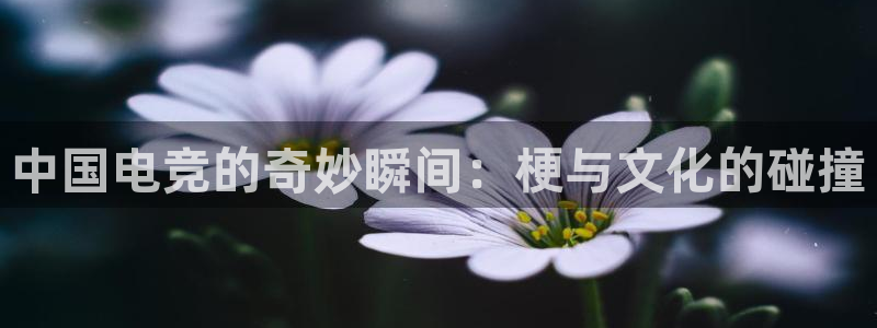 南宫电竞app：中国电竞的奇妙瞬间：梗与文化的碰撞