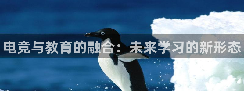 南宫电竞官网：电竞与教育的融合：未来学习的新形态