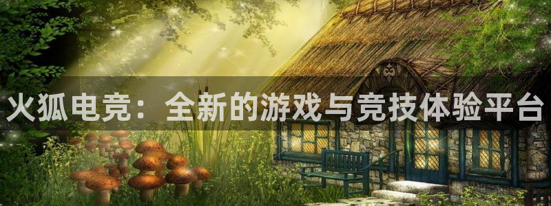 南宫电竞网：火狐电竞：全新的游戏与竞技体验平台