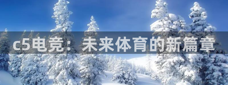南宫电竞官网：c5电竞：未来体育的新篇章