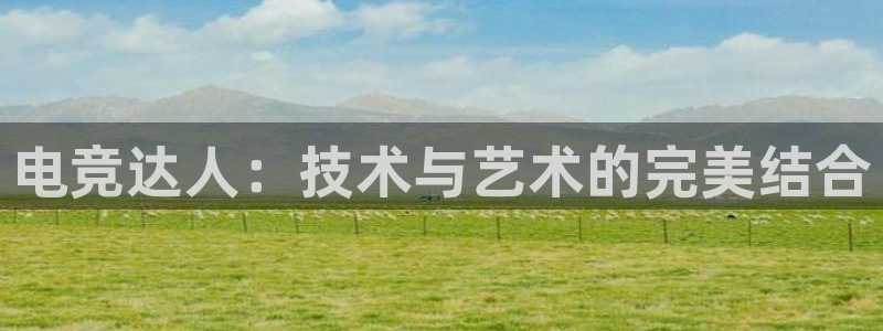 南宫电竞平台：电竞达人：技术与艺术的完美结合