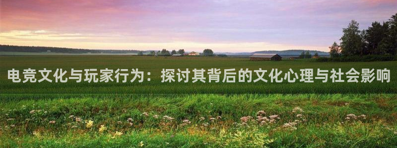 南宫电竞app：电竞文化与玩家行为：探讨其背后的文化心理与社会影响