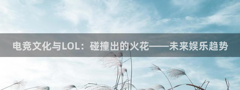 南宫电竞注册：电竞文化与LOL：碰撞出的火花——未来娱乐趋势
