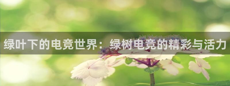 南宫电竞注册：绿叶下的电竞世界：绿树电竞的精彩与活力