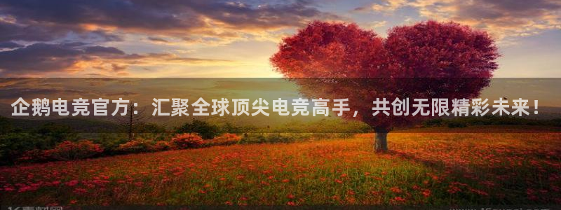 南宫电竞注册：企鹅电竞官方：汇聚全球顶尖电竞高手，共创无限精彩未来！