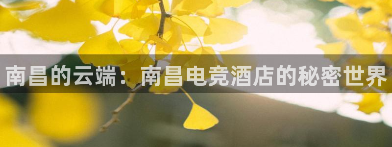 南宫电竞登陆：南昌的云端：南昌电竞酒店的秘密世界