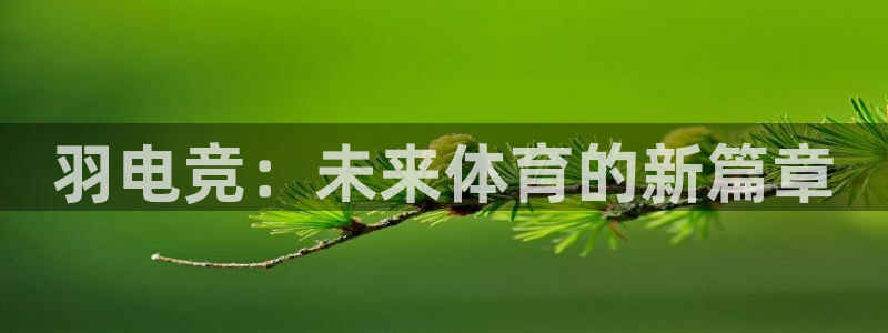 南宫电竞平台：羽电竞：未来体育的新篇章