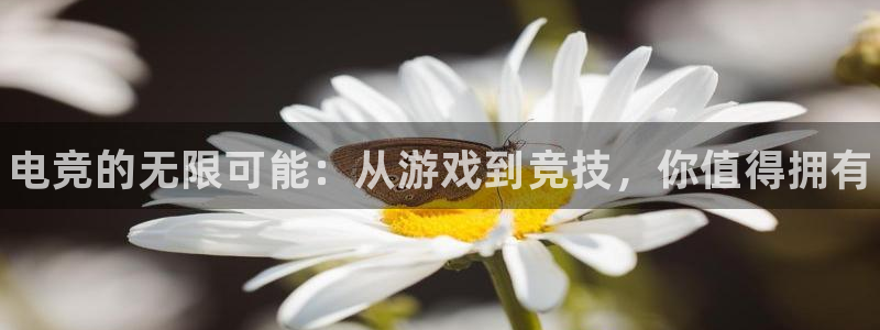 南宫电竞app：电竞的无限可能：从游戏到竞技，你值得拥有