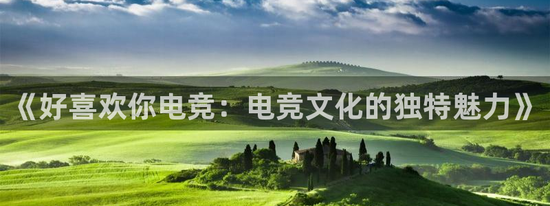 南宫电竞app：《好喜欢你电竞：电竞文化的独特魅力》
