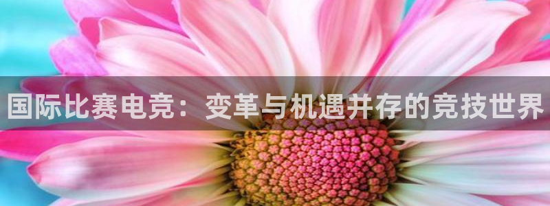南宫电竞：国际比赛电竞：变革与机遇并存的竞技世界