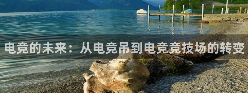 南宫电竞官网：电竞的未来：从电竞吊到电竞竞技场的转变