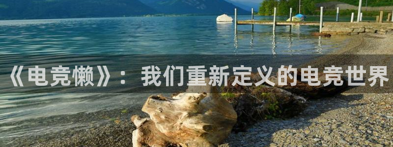 南宫电竞官网：《电竞懒》：我们重新定义的电竞世界