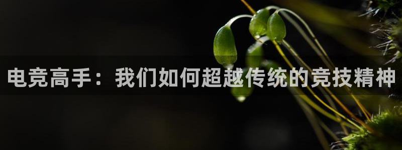 南宫电竞官网：电竞高手：我们如何超越传统的竞技精神