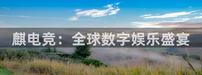 南宫电竞平台：麒电竞：全球数字娱乐盛宴