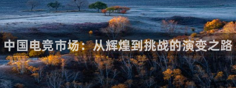 南宫电竞官网：中国电竞市场：从辉煌到挑战的演变之路