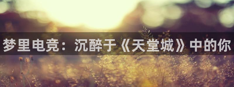 南宫电竞app：梦里电竞：沉醉于《天堂城》中的你