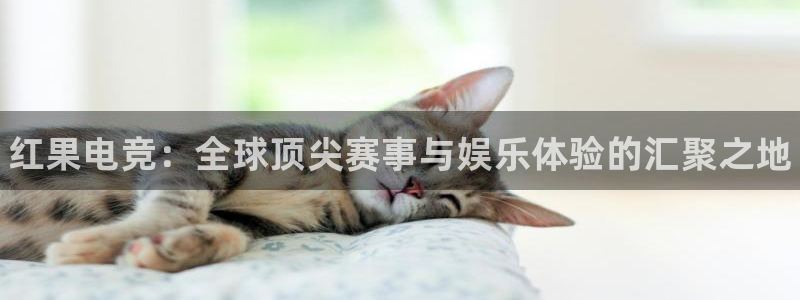 南宫电竞登陆：红果电竞：全球顶尖赛事与娱乐体验的汇聚之地