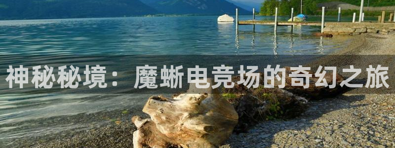 南宫电竞平台：神秘秘境：魔蜥电竞场的奇幻之旅