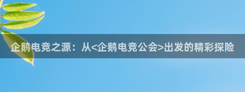南宫电竞网：企鹅电竞之源：从<企鹅电竞公会>出发的精彩探险