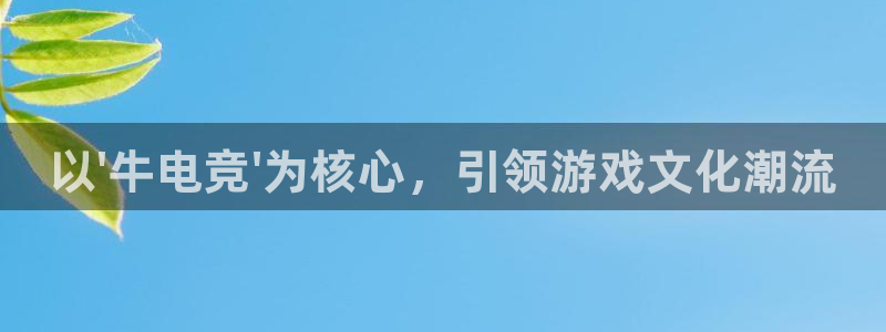 南宫电竞网：以\'牛电竞\'为核心，引领游戏文化潮流