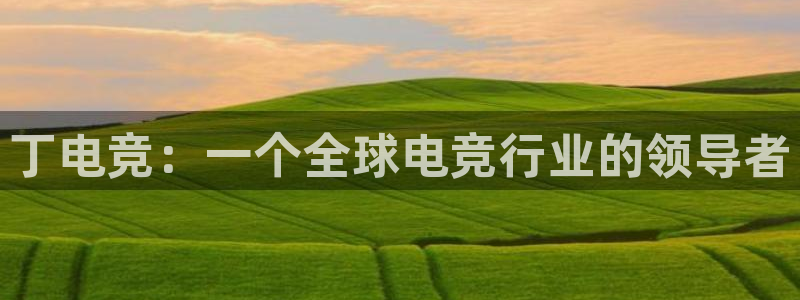 南宫电竞app：丁电竞：一个全球电竞行业的领导者