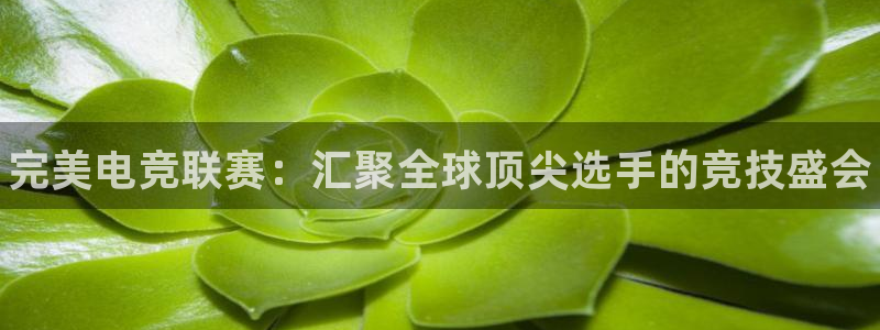 南宫电竞平台：完美电竞联赛：汇聚全球顶尖选手的竞技盛会