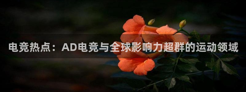 南宫电竞网：电竞热点：AD电竞与全球影响力超群的运动领域