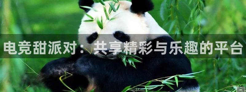 南宫电竞登陆：电竞甜派对：共享精彩与乐趣的平台